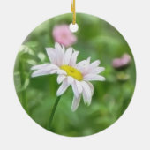 Insektenpulver-Gänseblümchen - Tanacetum coccineum Keramik Ornament (Hinten)