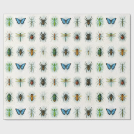 Insektensammlung Aquarellmalerei Insektenkunst Geschenkpapier