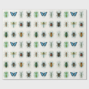 Insektensammlung Aquarellmalerei Insektenkunst Geschenkpapier
