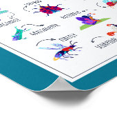 Insektenschulunterricht Bildung Poster (Ecke)