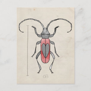Insektenserie   Roter Käfer Postkarte