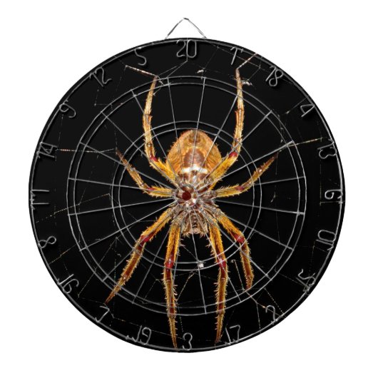 Insektenspinne Kolombia Dartscheibe (vorne)