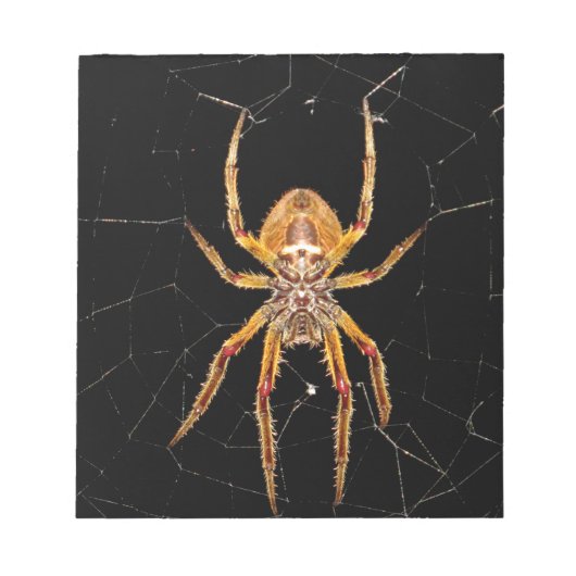 Insektenspinne Kolombia Notizblock (Vorderseite)