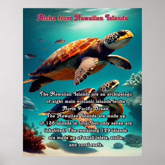 Insel Aloha Poster (Vorne)
