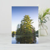 Insel am Lago Long Pond Dankeskarte (Stehend Vorderseite)