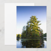 Insel am Lago Long Pond Dankeskarte (Vorne/Hinten)