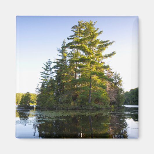Insel am Lago Pond Magnet (Vorne)