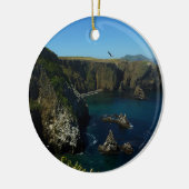 Insel Anacapa auf den Kanalinseln Keramikornament (Links)