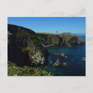 Insel Anacapa auf den Kanalinseln Postkarte