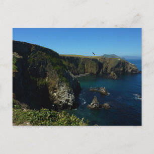 Insel Anacapa auf den Kanalinseln Postkarte