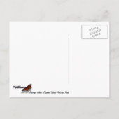 Insel Anacapa auf den Kanalinseln Postkarte (Rückseite)