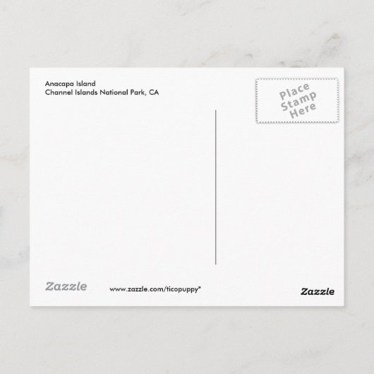 Insel Anacapa Postkarte (Rückseite)