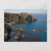 Insel Anacapa Postkarte (Vorderseite)