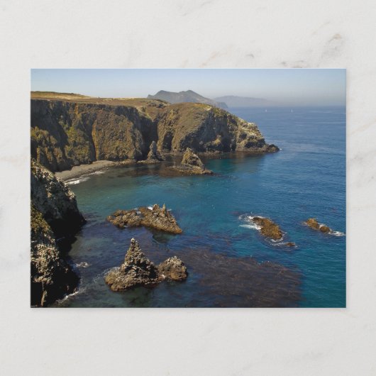 Insel Anacapa Postkarte (Vorderseite)