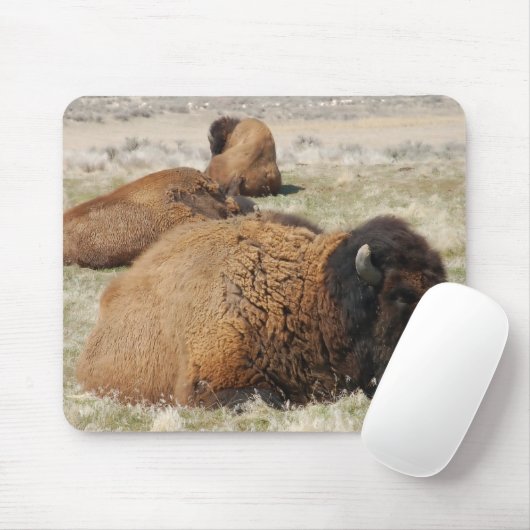 Insel Antelope Mousepad (Mit Mouse)