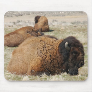 Insel Antelope Mousepad