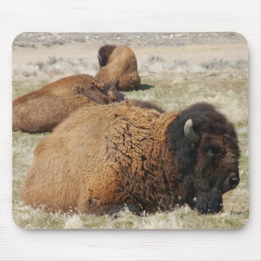 Insel Antelope Mousepad (Vorne)