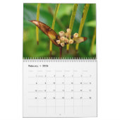 Insel Art Tropical Kalender (Feb 2026)