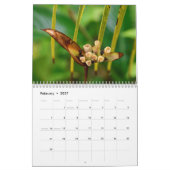 Insel Art Tropical Kalender (Feb 2027)