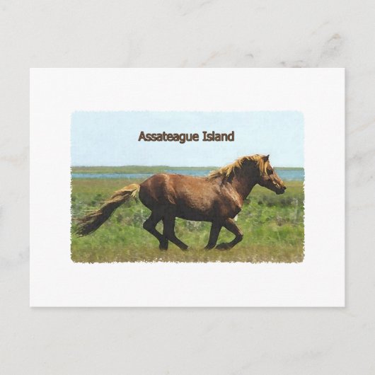 Insel Assateague (Logo für den Betrieb von Hengsts Postkarte (Vorderseite)