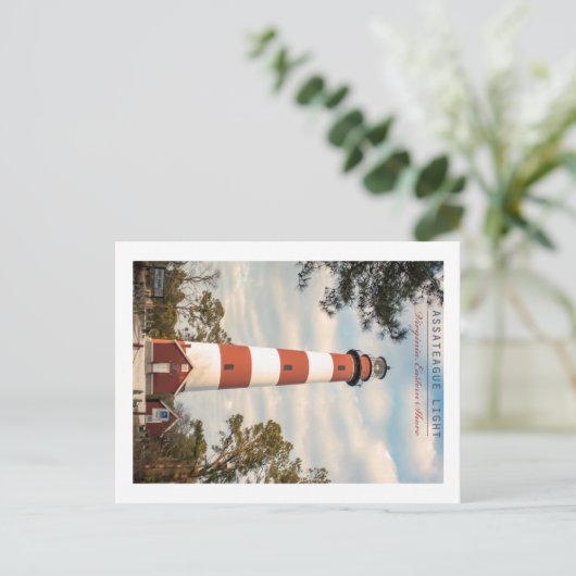 Insel Assateague. Postkarte (Stehend Vorderseite)