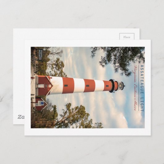 Insel Assateague. Postkarte (Vorne/Hinten)