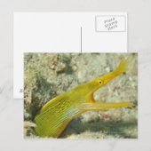 Insel Borneo, Sipadan Postkarte (Vorne/Hinten)