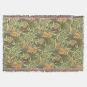 Insel Browns Decke (Vorderseite)