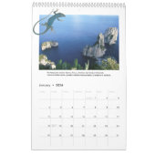 Insel Capri-Mauer-Kalender Kalender (Jan 2026)
