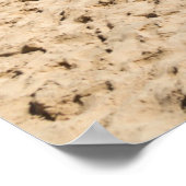 Insel Captiva, Florida Poster (Ecke)