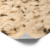 Insel Captiva, Florida Poster (Ecke)