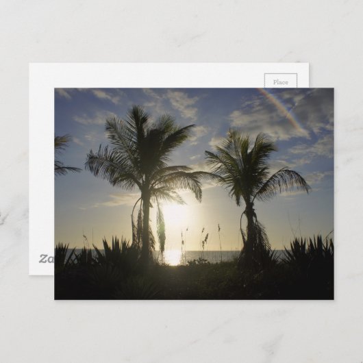 Insel Captiva Postkarte (Vorne/Hinten)