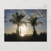 Insel Captiva Postkarte (Vorderseite)