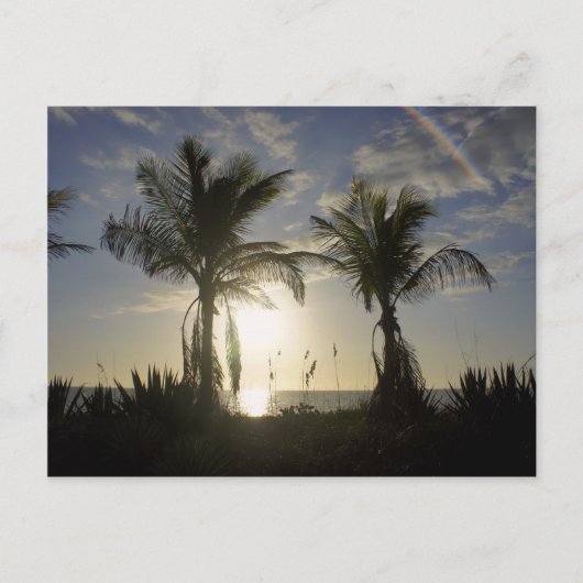 Insel Captiva Postkarte (Vorderseite)