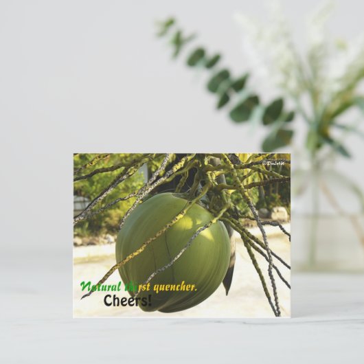 Insel (Coconut) Postkarte (Stehend Vorderseite)