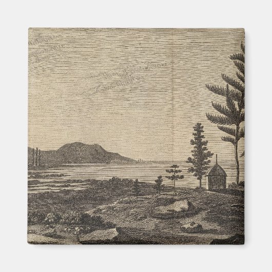 Insel der Kiefern, Neukaledonien Magnet (Vorne)