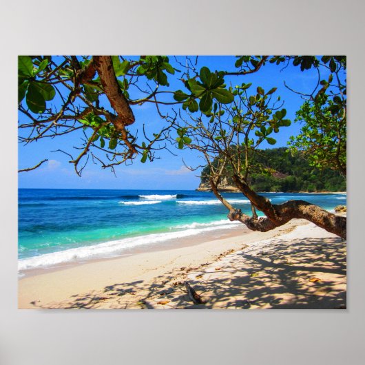 Insel der Malediven durch Schaufenster. Poster (Vorne)