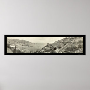 Insel-Foto 1914 Sankt Catalina Poster