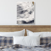 Insel Guadalupe Leinwanddruck (Insitu (Schlafzimmer))
