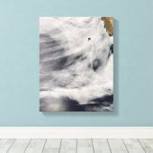 Insel Guadalupe Leinwanddruck (Insitu (Holzboden))