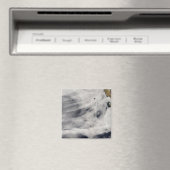 Insel Guadalupe Magnet (In Situ (Geschirrspüler))