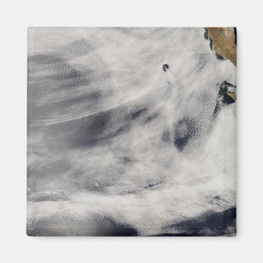 Insel Guadalupe Magnet (Vorne)