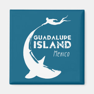 Insel Guadalupe Mexiko   Tauchen mit Haien Magnet