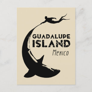 Insel Guadalupe Mexiko Tauchen mit Haien Postkarte