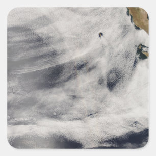 Insel Guadalupe Quadratischer Aufkleber