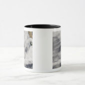 Insel Guadalupe Tasse (Zentrum)