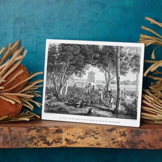 Insel Guam: Einheimische am Arbeitsplatz im Garten Fotoplatte (Seite)