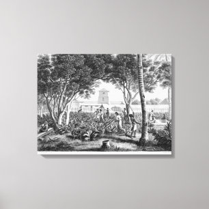 Insel Guam: Einheimische bei der Arbeit im Garten Leinwanddruck