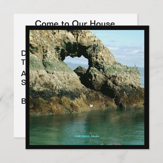 Insel Gull, Alaska Einladung (Vorne/Hinten)