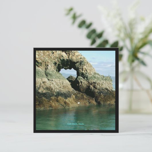 Insel Gull, Alaska Einladung (Stehend Vorderseite)